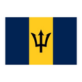 Flag of Barbados Temporary Tattoo (1.5"x2")